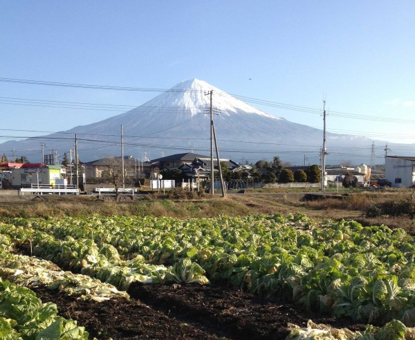 訪木之花家族–自給自足、循環永續的生態村(Ecovillage)