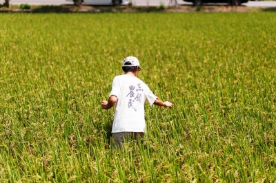 許多從農者因為老農多半只願以口頭契約出租土地，造成無法投保農保，賴青松即為一例。（圖/黃世澤攝影）