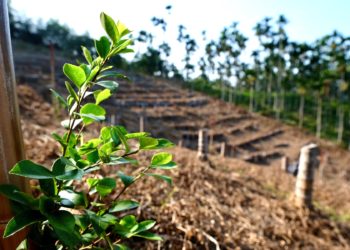 02 轉身的可能—山坡地