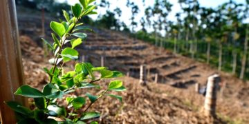 02 轉身的可能—山坡地