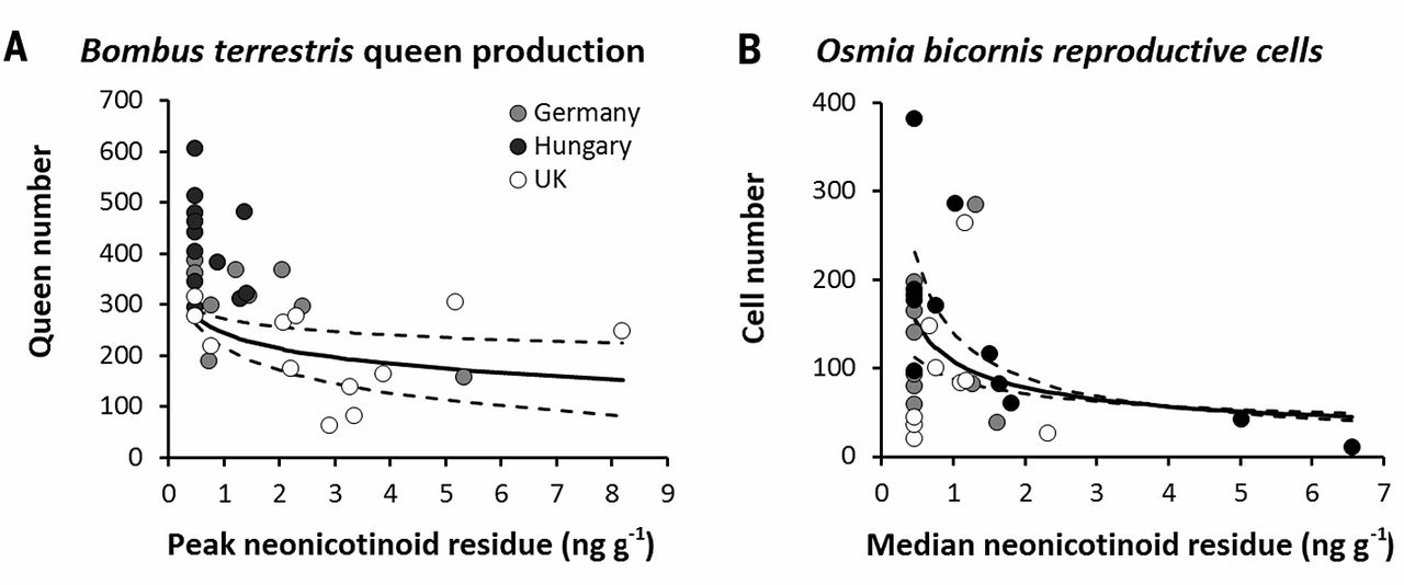 野生熊蜂（Bombus terrestris），以及習慣獨居的紅壁蜂（Osmia bicornis）繁殖情形與類尼古丁農藥殘留的關連（圖表來自科學期刊）