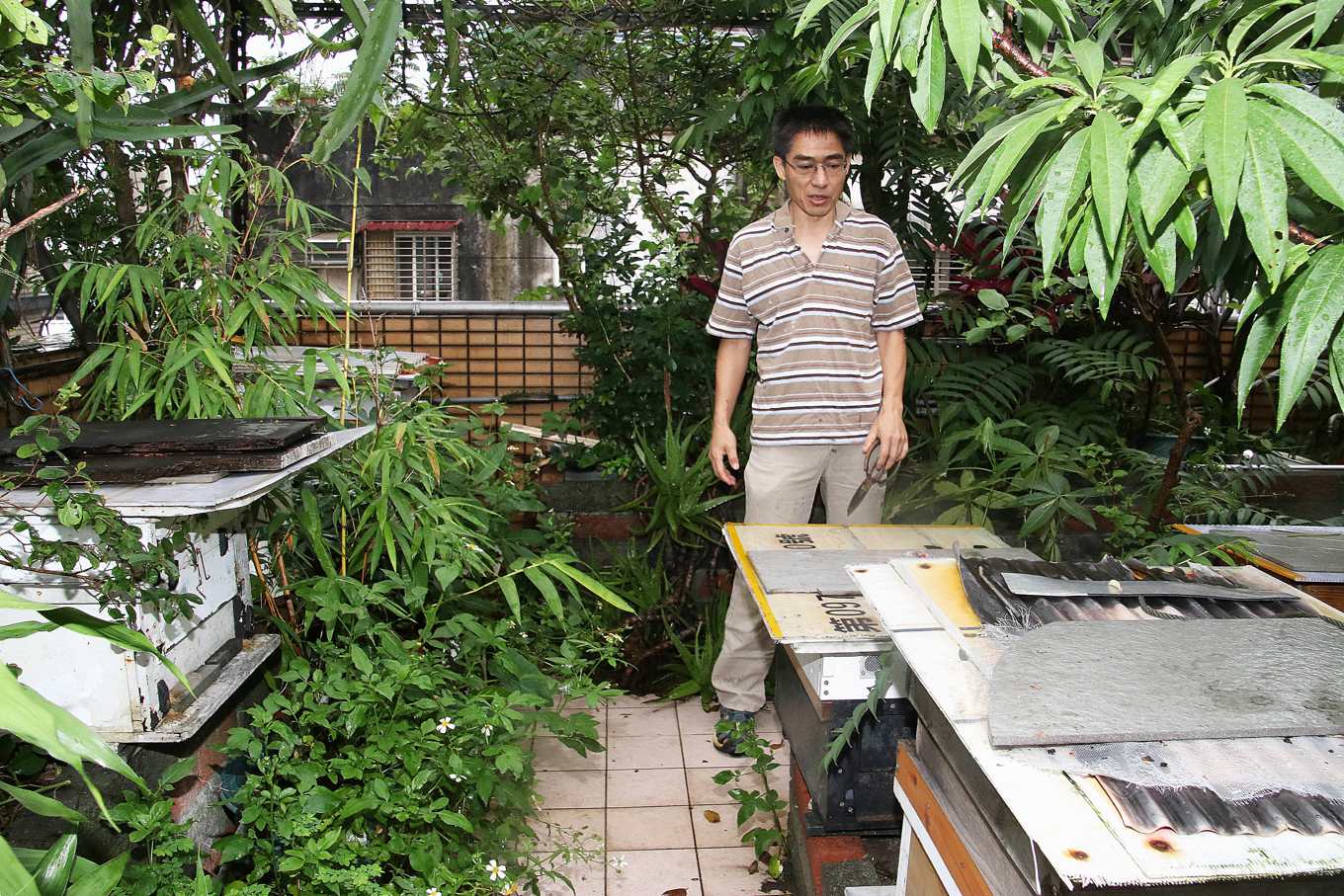 馮傑瑞在頂樓建立蜜蜂的食物廊道（攝影/孔德廉）