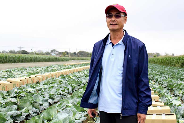 專題07 跳脫賭局 轉作青花菜開創市場 拆解高麗菜賭局 上下游