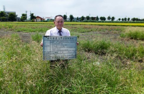 電鍍污水染指農地摧毀作物、土地和農民  攝影者張良一