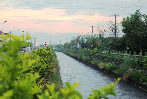 2012.4.29-莿仔埤圳-夕照(1)_a