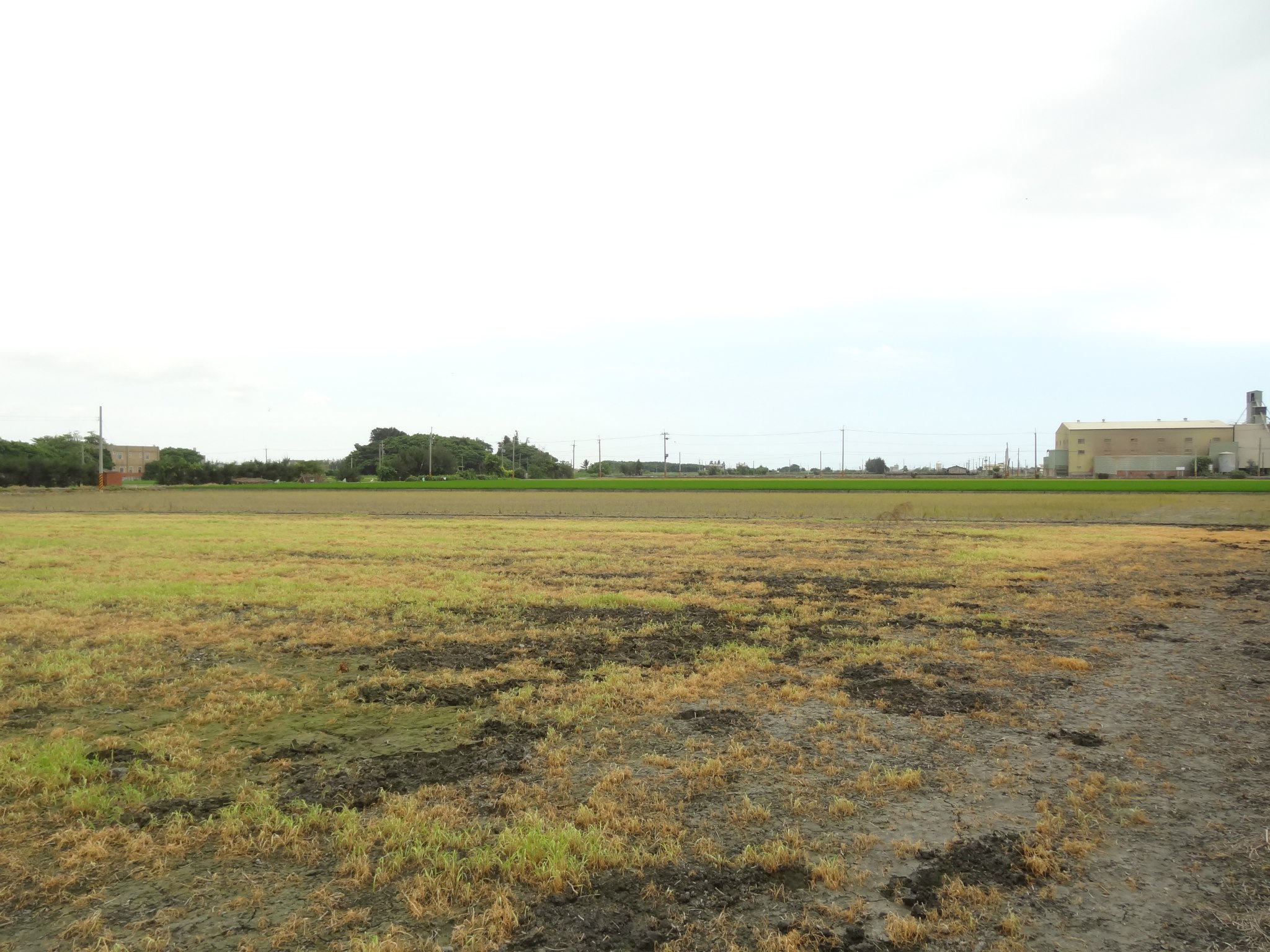 展望一個永續鄉村的未來—大城鄉有機農業教育訓練座談會側寫| 上下游新聞