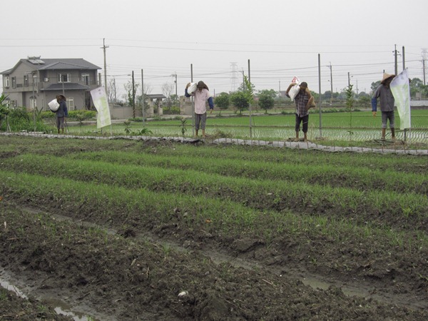 行健有機村許多地主都是外來人，有機補貼如何給實質生產者必須再研擬修法2