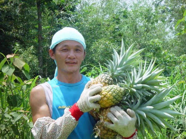 有機小農 需要您的支持