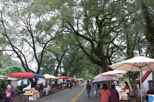 邊吃台東在地美食，還可以邊欣賞綠色隧道美景，全台灣目前只有鹿野才有