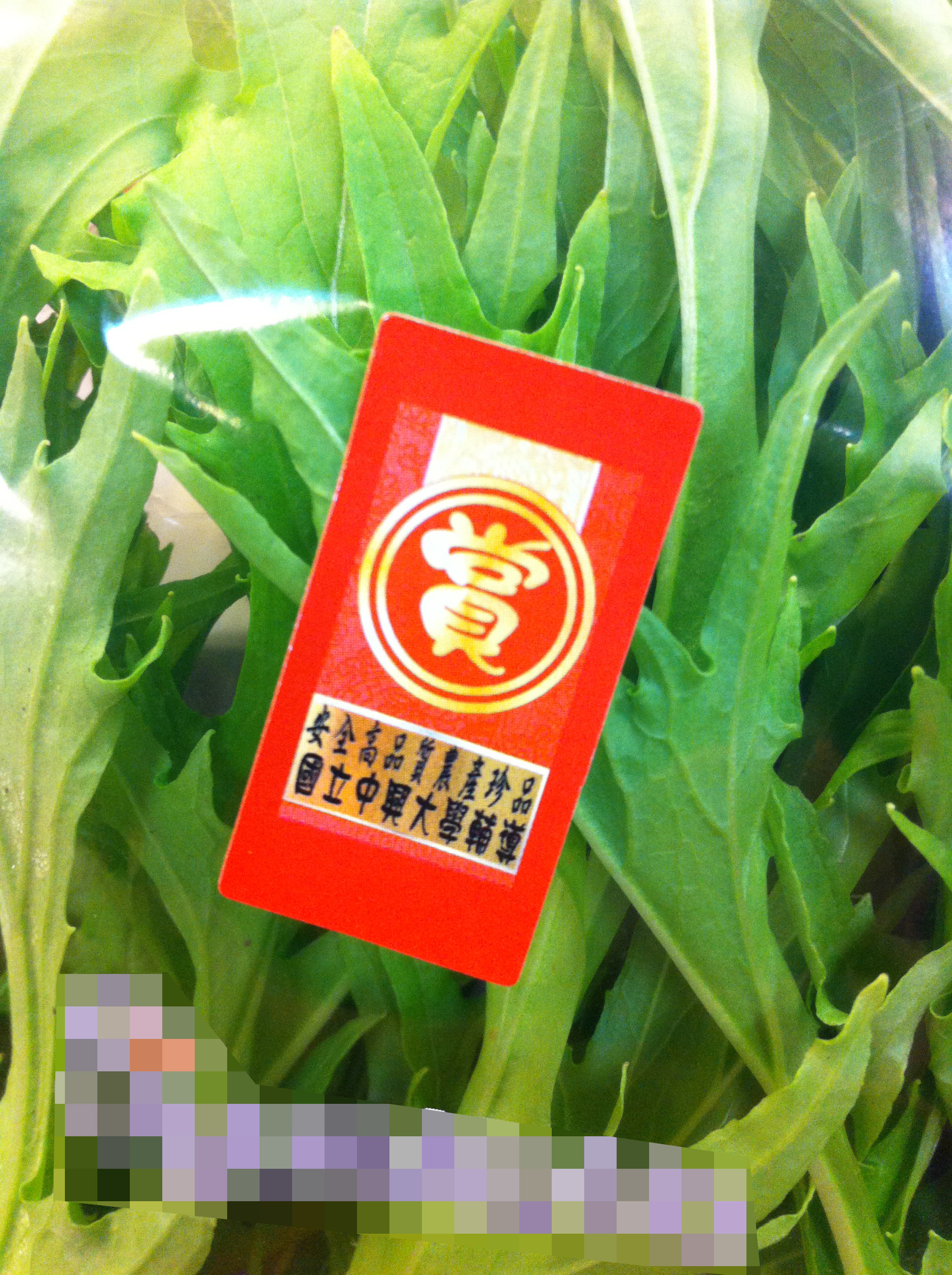 一種信任的味道 臺式京水菜料理 上下游news Market