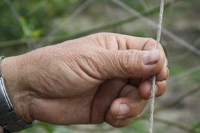 用麻繩當成水果支架，不但可分解也不用再特地收拾