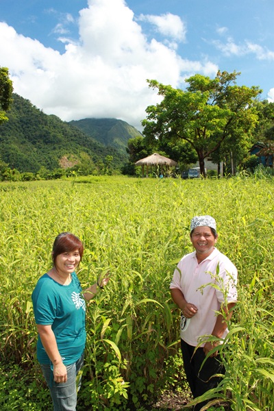 劉南英（左）和茶山部落長老安啟信（右）推動產銷班，讓部落族人可以在家鄉自食其力