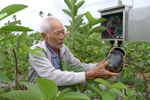 誘捕盒中放置甲基丁香油吸引雄性果實蠅，紅外線計數資料會傳送到上方的分析器