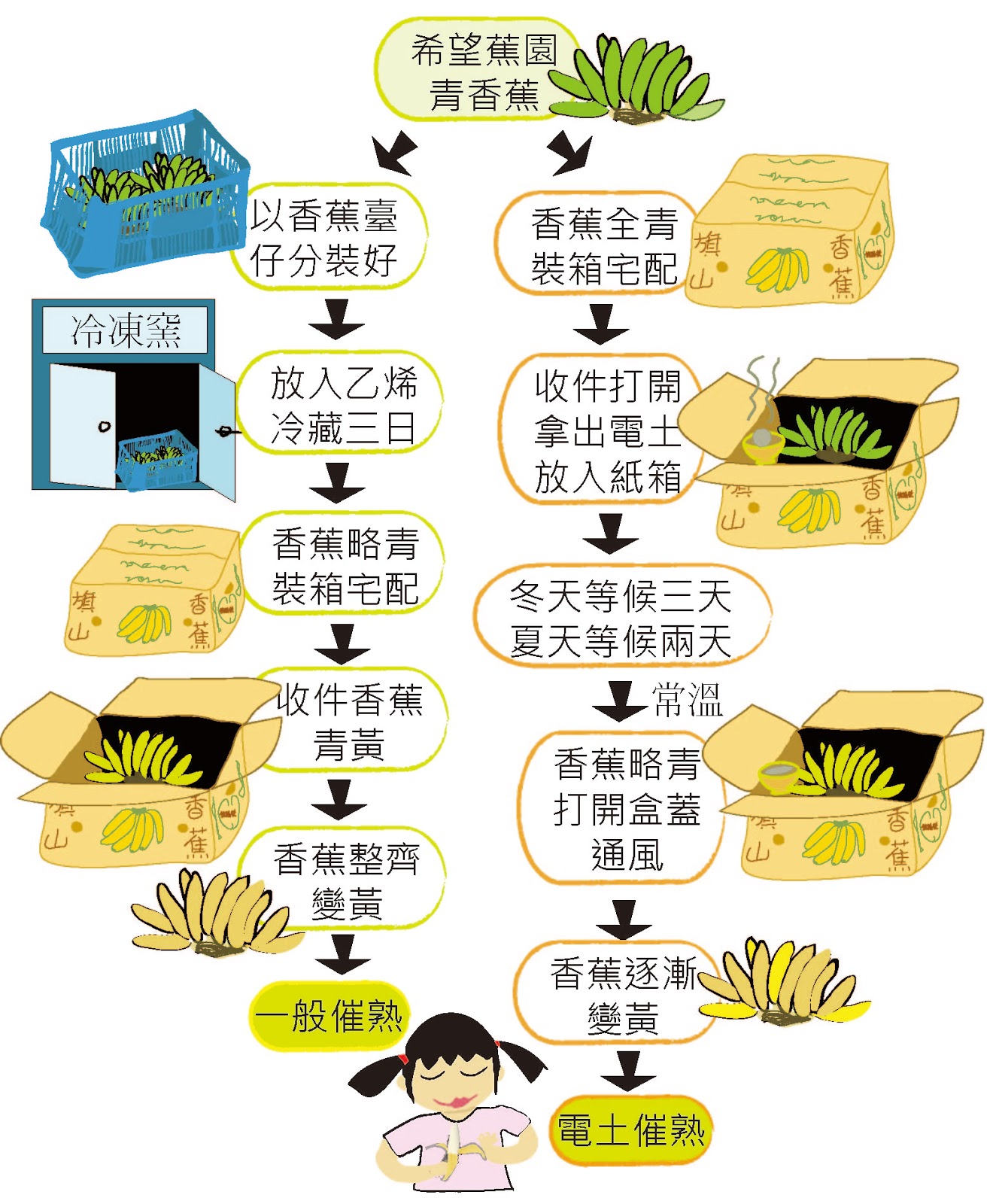 台青蕉希望蕉園 自然農法香蕉宅配 上下游news Market