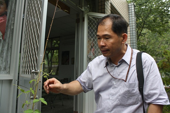 在台電工作30多年的康宏呈，平日就喜歡種花草，無心插柳種出國寶級的「台灣大豆」，讓他驚喜又開心