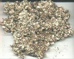 cotton_seed_waste