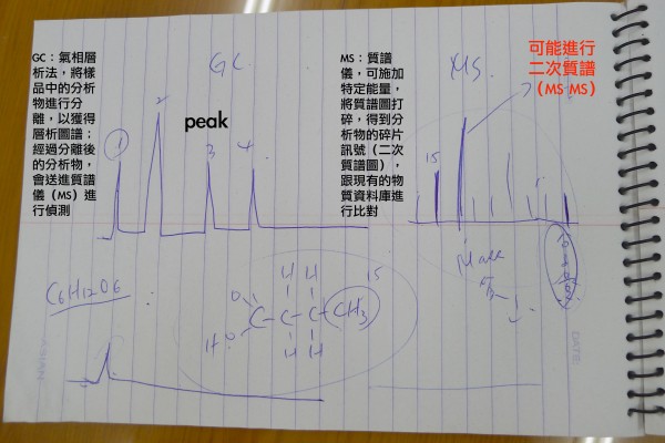 陳明汝教授說明（攝影/林慧貞）