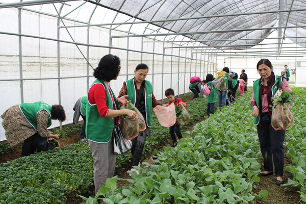 消費者認識在地食材,有益綠色友善餐廳推動/高雄市農業局提供 消費者認識在地食材,有益綠色友善餐廳推動/高雄市農業局提供