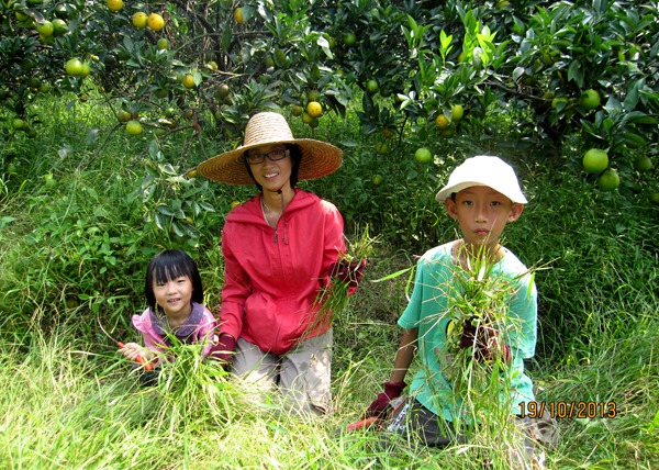 割草