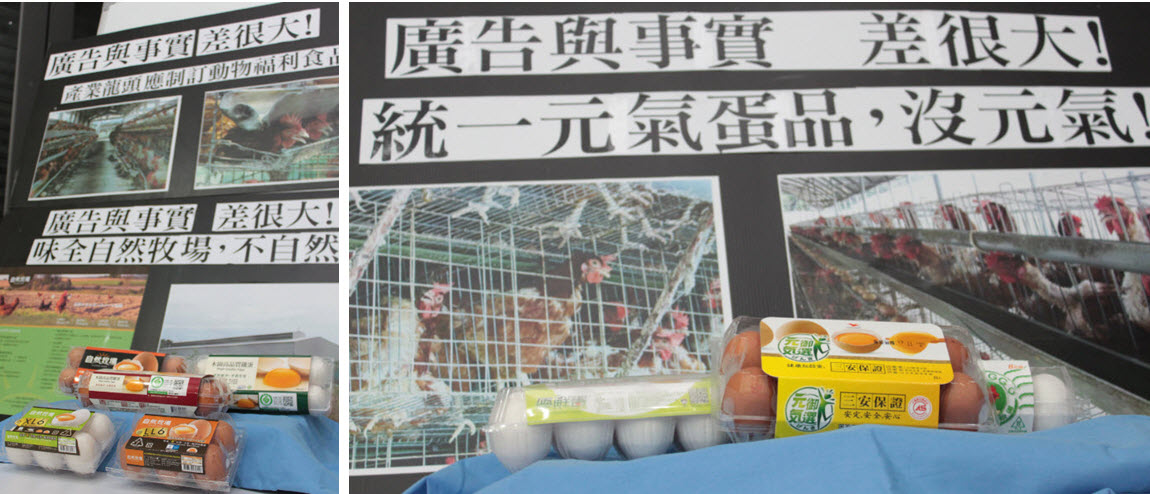 統一、味全的蛋品宣稱來自自然環境,蛋雞有元氣,事實上都來自格子籠。