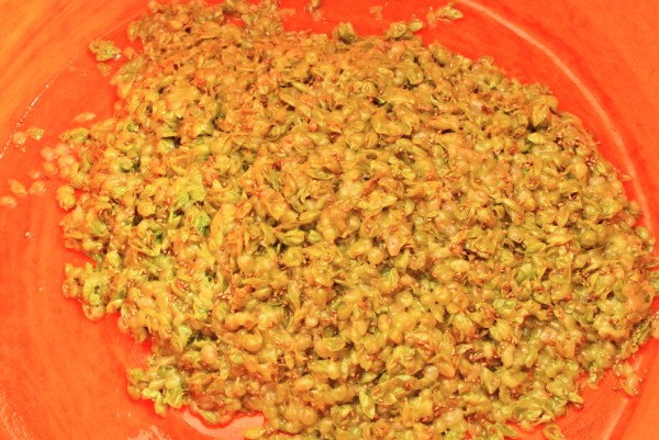 見習三 (2)_meitu_2