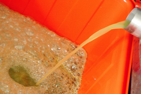 見習三 (3)_meitu_3