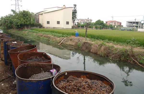 1470202_10202858683972120_560404685_n