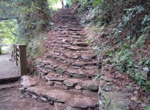 居民以傳統生態工法做步道。(圖/林務局提供)