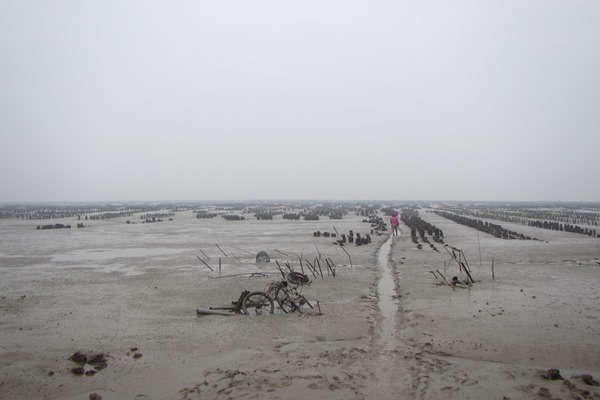 北山海堤沿岸之棲地環境 北山海堤沿岸之棲地環境