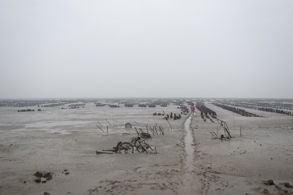 北山海堤沿岸之棲地環境