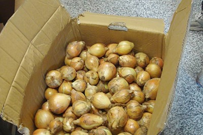 10154321_850198271662611_971086379331267476_n 10154321_850198271662611_971086379331267476_n