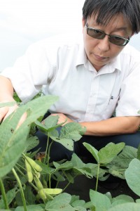 毛豆先生周國隆是美濃黃豆復耕行動的幕後支持推手之一。（圖／汪文豪攝）