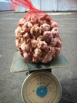 10330496_785479641462096_2608713436273488669_n 10330496_785479641462096_2608713436273488669_n