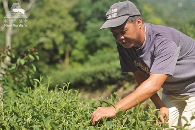 新鄉村協會_茶農