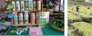 圖片5