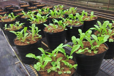 10419635_892794267403011_2033260869926591035_n 10419635_892794267403011_2033260869926591035_n