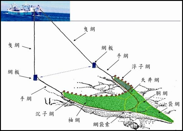 單拖底層作業圖s