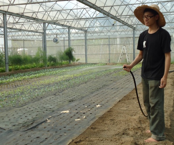 澆水時,粽子總是用唱歌來自娛娛人。