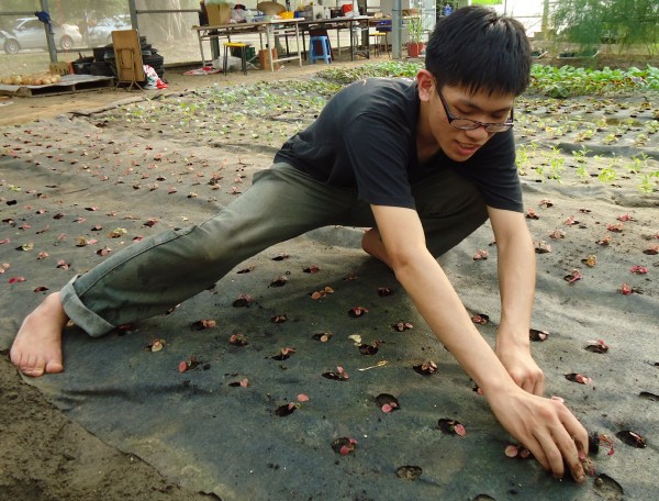 在農耕隊溫室赤腳工作的大男孩。