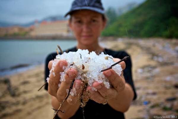 從海灘上撈一把沙，經過過濾後，滿滿地「塑膠微粒」