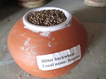 陶罐上均標名種籽的英文名稱及在地名稱 陶罐上均標名種籽的英文名稱及在地名稱