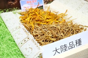 10703635_929264810434431_5042294395407205588_n