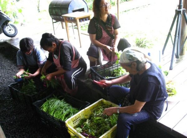 大家一起分裝蔬菜