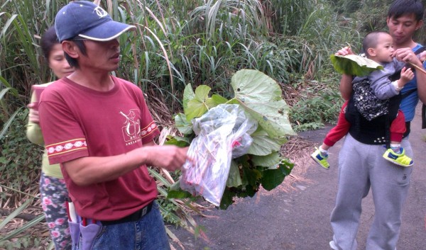 Suyan跟大家介紹野菜秋海棠，另一邊阿美族的朋友正在直接吃呢！