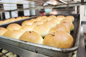 10632748_10205152828844308_4479822578011932157_n 10632748_10205152828844308_4479822578011932157_n