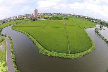 五十二甲濕地照片