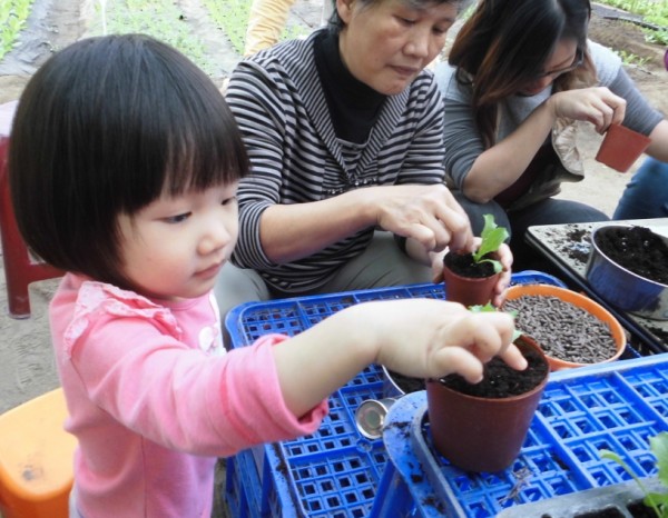 親手製作蔬菜小盆栽