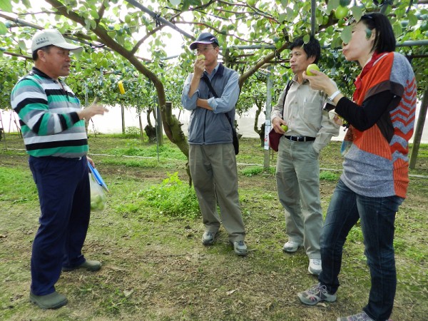 蜜棗優質管理果園田間審查情形