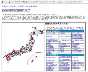 日本環境省會公布的野鳥遷徙資訊