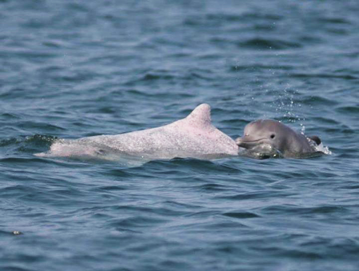 11685_10203158338714235_4524556604789986113_n